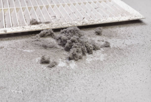 Best Local Air Duct Cleaning Services  in Fox Crossing, WI