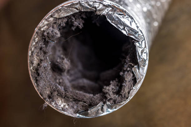 Best Dryer Vent Cleaning Services  in Fox Crossing, WI